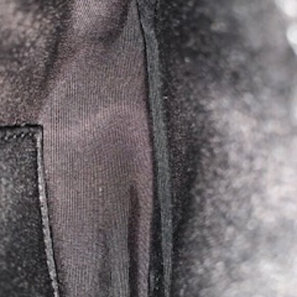 Coach Limited Edition Star Canyon Quinn Crossbody - Picture 4 of 7